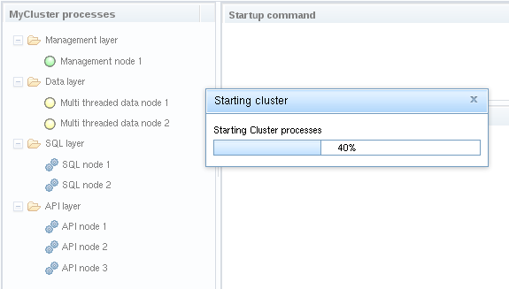 Starting cluster
